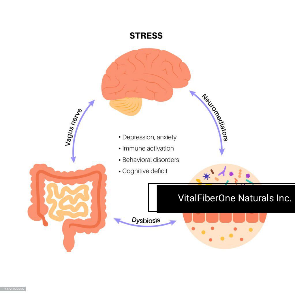 The Mind-Gut Connection