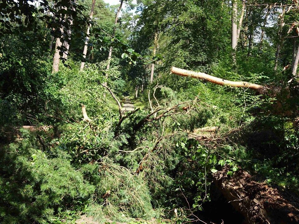 Kaum erkennbarer Weg