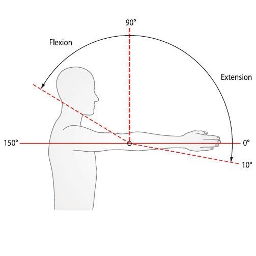 Anatomie des Schultergelenks