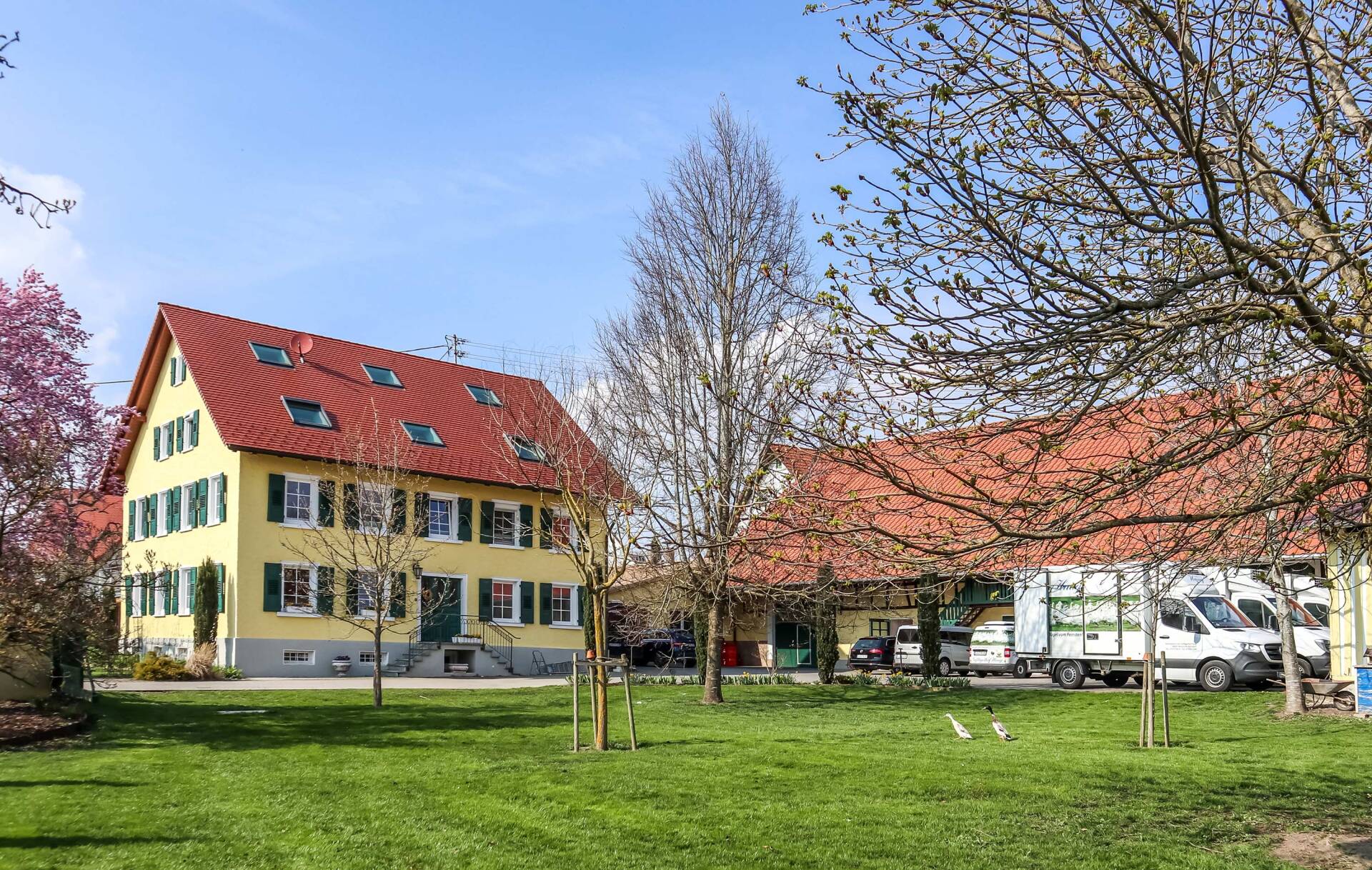 Geflügelhof Haug | Meßkirch | Ihr zuverlässiger Partner für Frischgeflügel