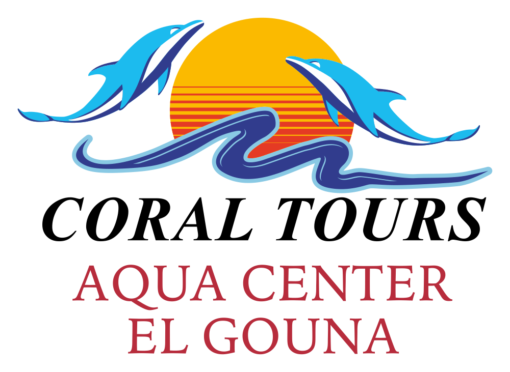 coral tours aqua center el gouna