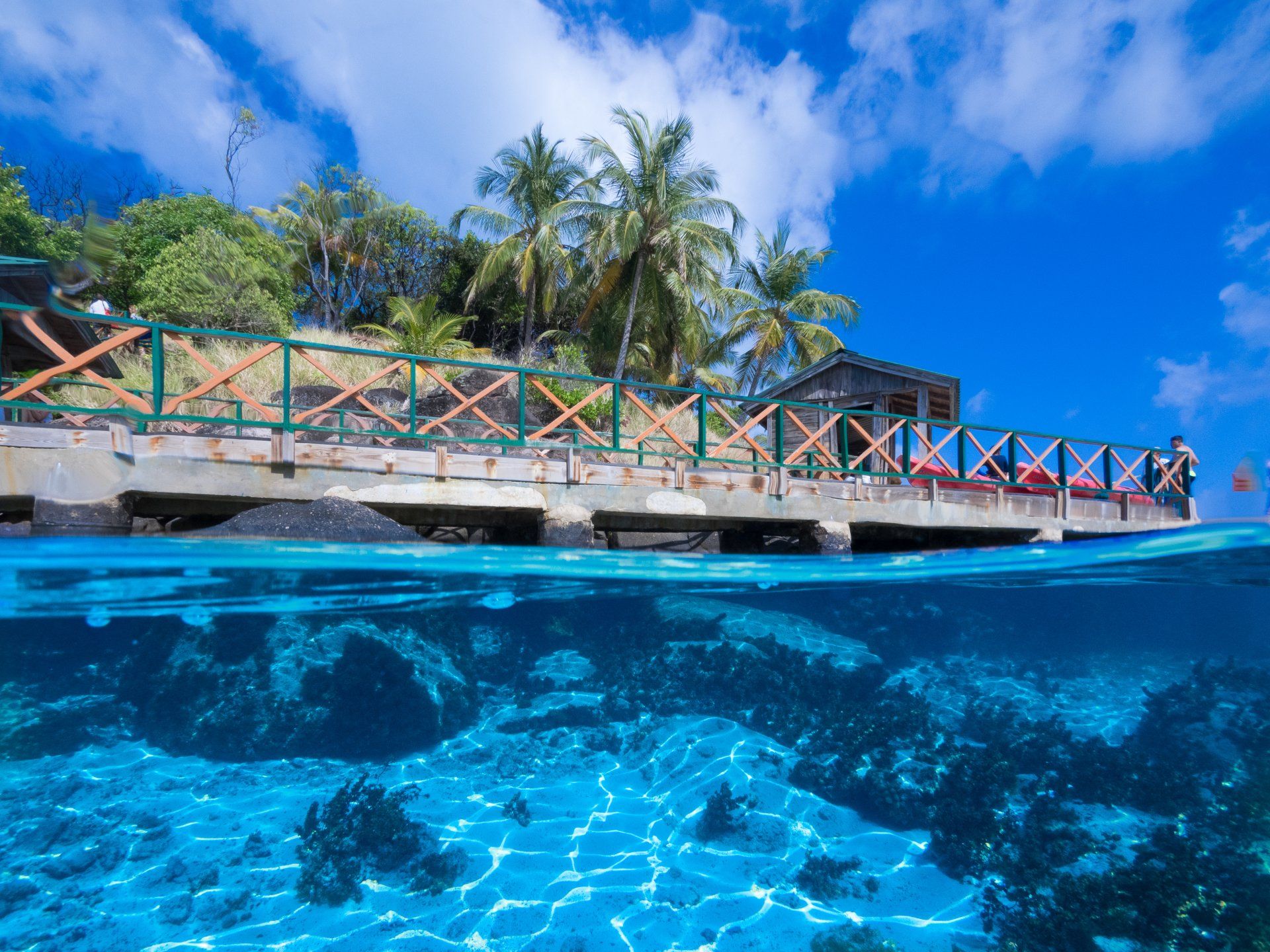 Buceo en Providencia