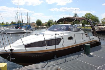 bodensee motorboot bodensee sensationen gaienhofen fotos