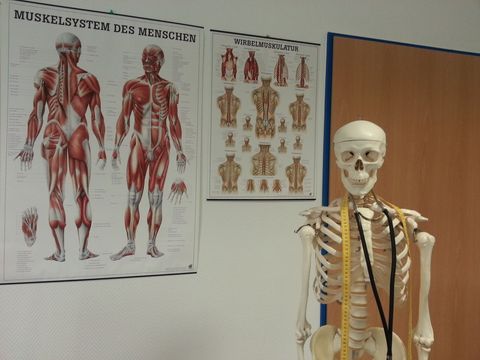 Preise anatomie piercing münster V. I.