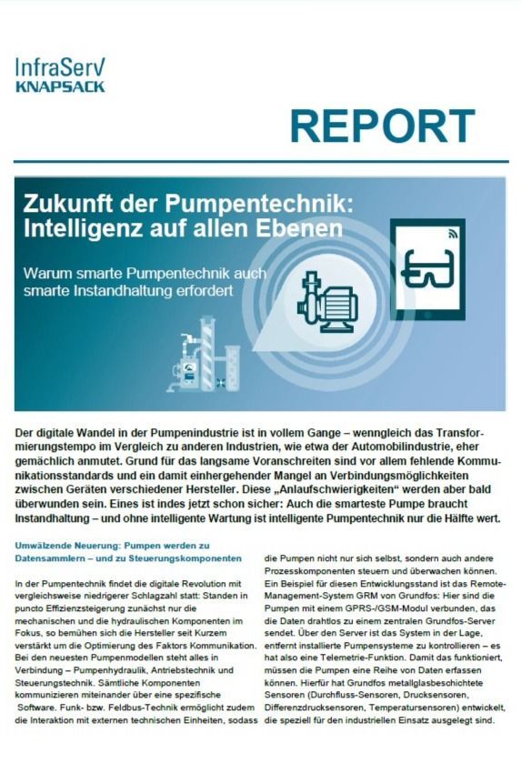 Bild InfraServ Knapsack Fachreport