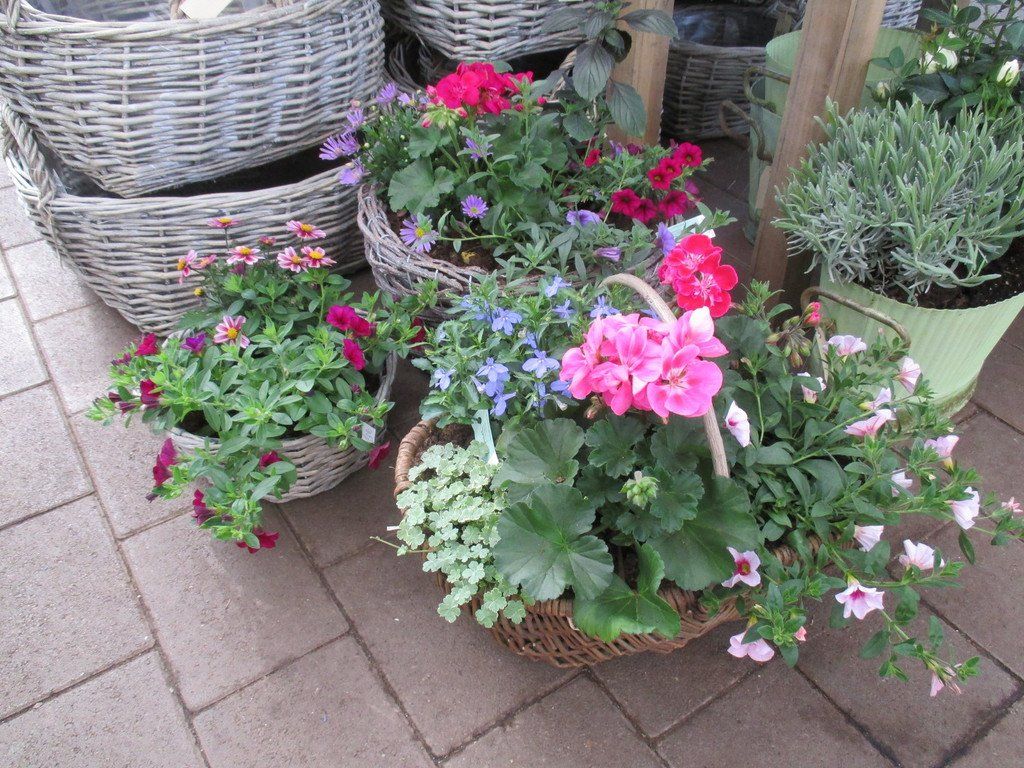 Garten verschönern | Siegsdorf | Häusler die Gärtnerei