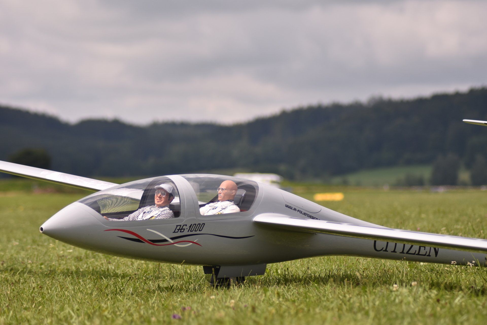 DG-1000