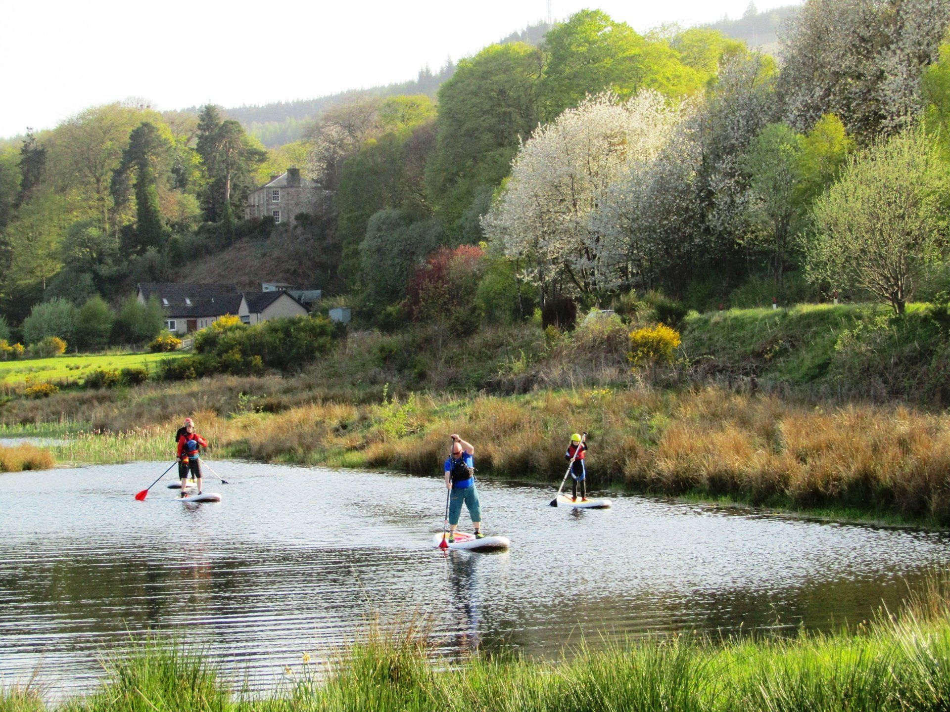 Rothes Pond