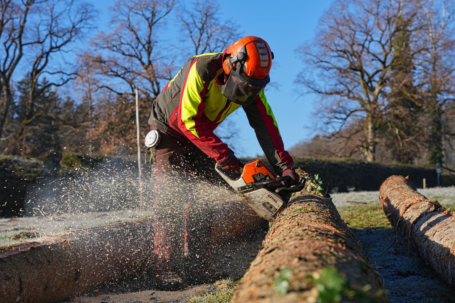 Ein Arbeiter mit orangefarbenem Helm und Warnweste sägt im Freien einen umgestürzten Baumstamm mit der Kettensäge durch, wodurch Sägespäne aufgewirbelt werden.