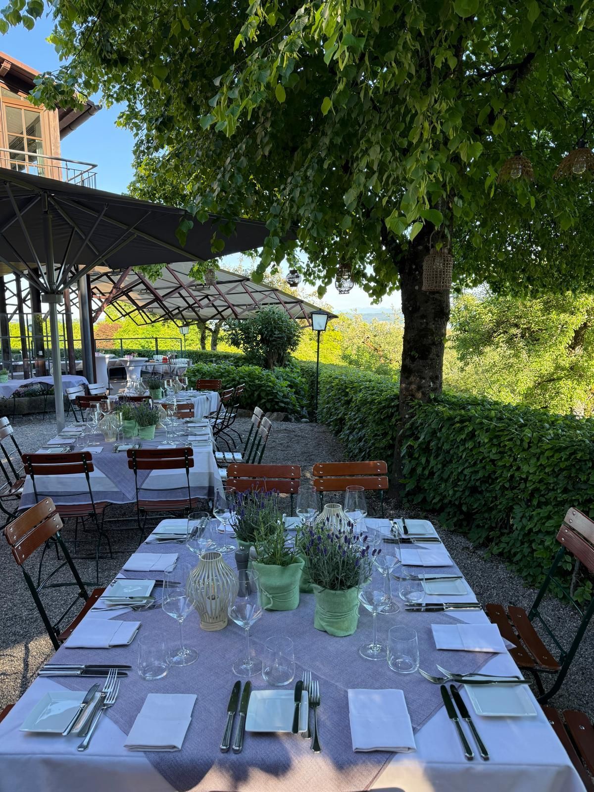 Ein im Freien gedeckter Restauranttisch mit weißen Tischdecken, Gläsern und Besteck unter einem belaubten Baum auf einer sonnigen Terrasse.
