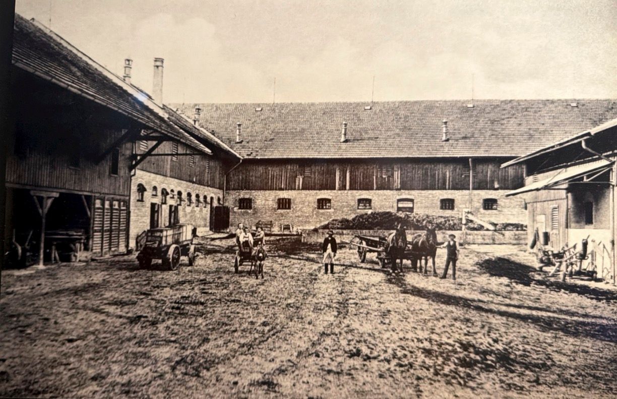 Historisches Schwarz-weiss-Foto: Hofinnenhof mit Pferdekutschen und Personen