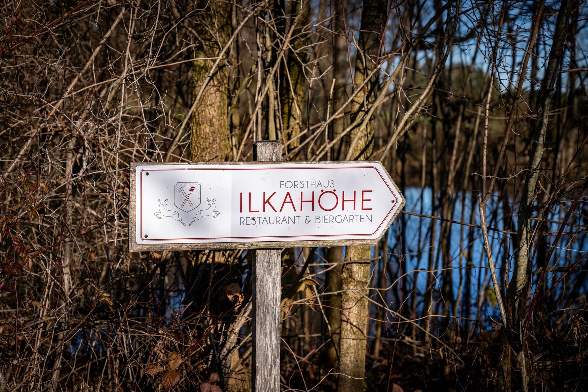 Weißes Wegweiserschild neben einem bewaldeten Uferweg, im Hintergrund Wasser und Schilf.