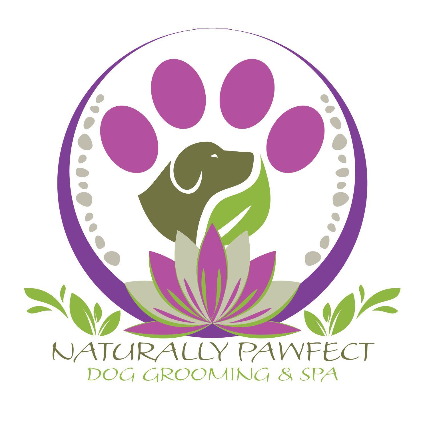 How long does it take to groom a dog? - Pawfect Spa