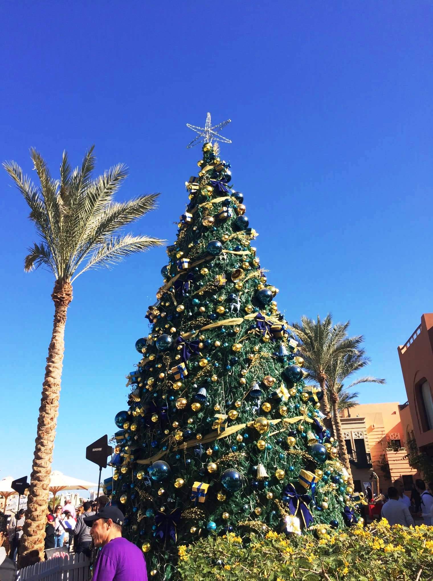 Weihnachten in Ägypten