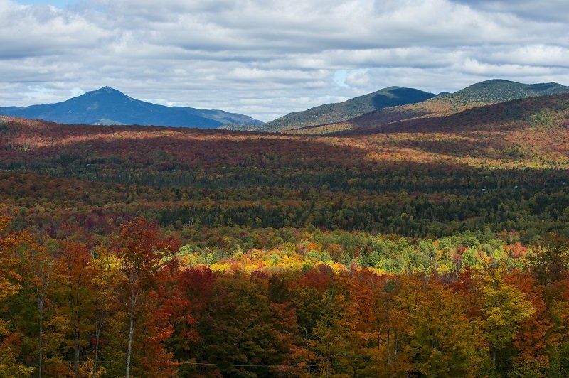 Fabulous Fall in New York State!