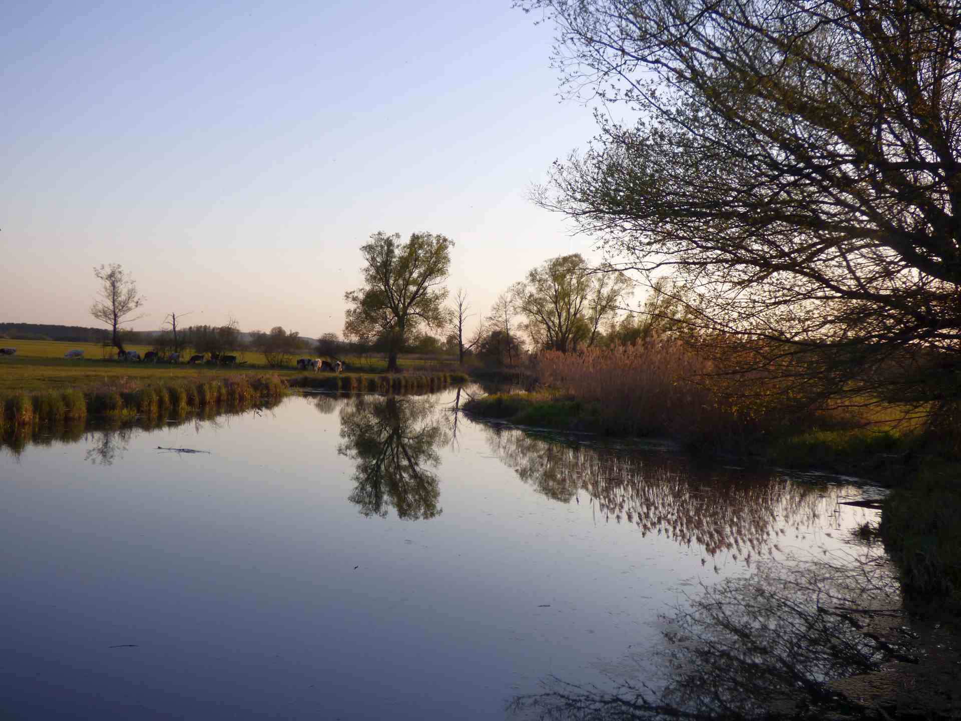 Waldcamp Seeblick Campingplatz Am Neuendorfer See