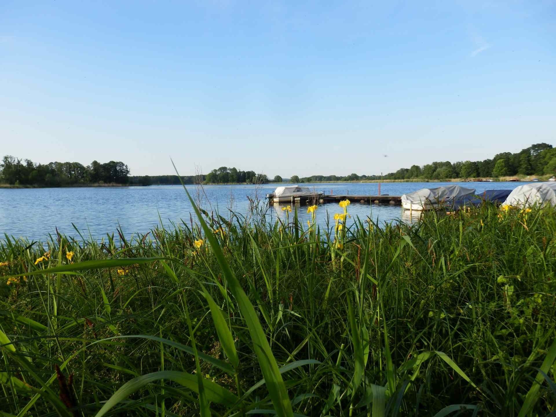 Waldcamp Seeblick Campingplatz am Neuendorfer See