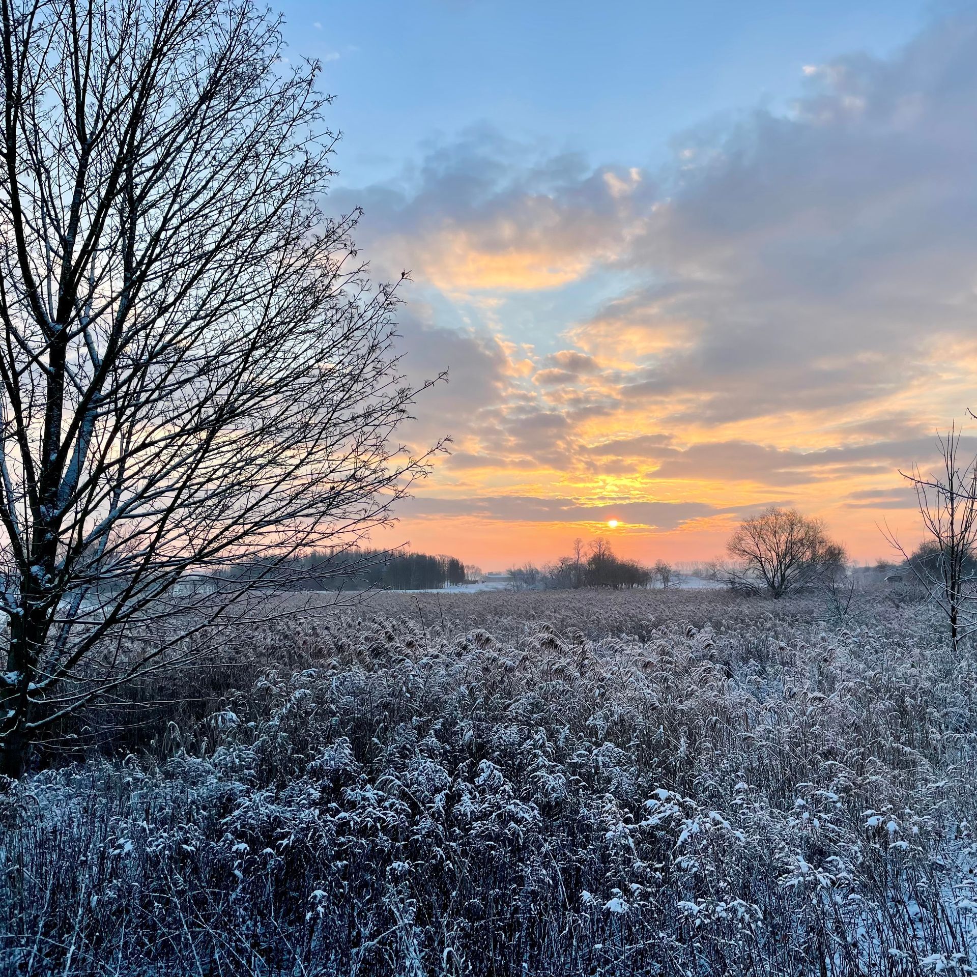 Schneebedecktes Feld bei Sonnenaufgang mit orangefarbenem und blauem Himmel, im Vordergrund Baumsilhouetten.