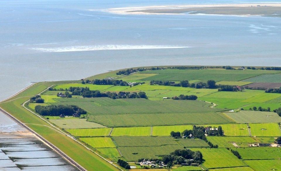 Vollerwiek Gemeinde Vollerwiek Dorfleben, Urlaub, Eiderstedt, Nordsee