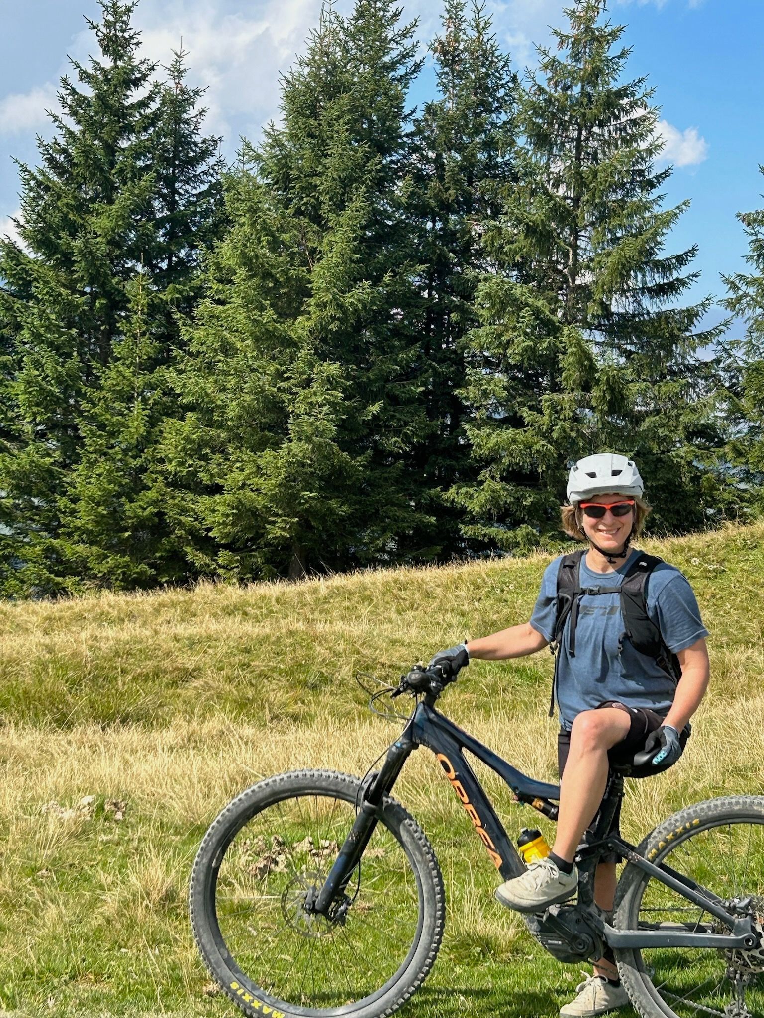 Eine Person fährt mit einem Mountainbike an einem grasbewachsenen Hang vor hohen immergrünen Bäumen. Sie trägt einen Helm und Sportkleidung.