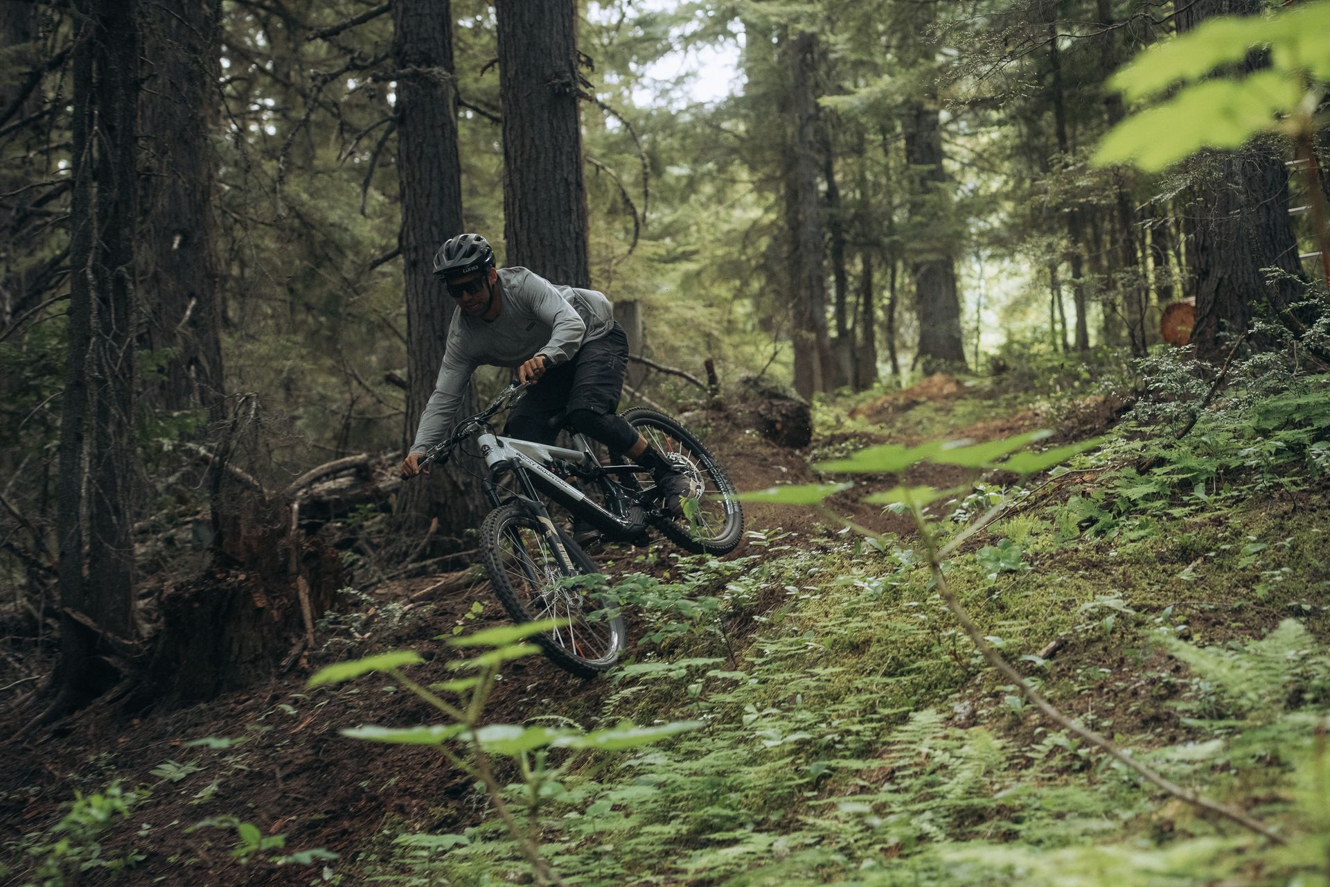 E-Mountainbiker im Trai. Beim überfahren eines Hindernis.