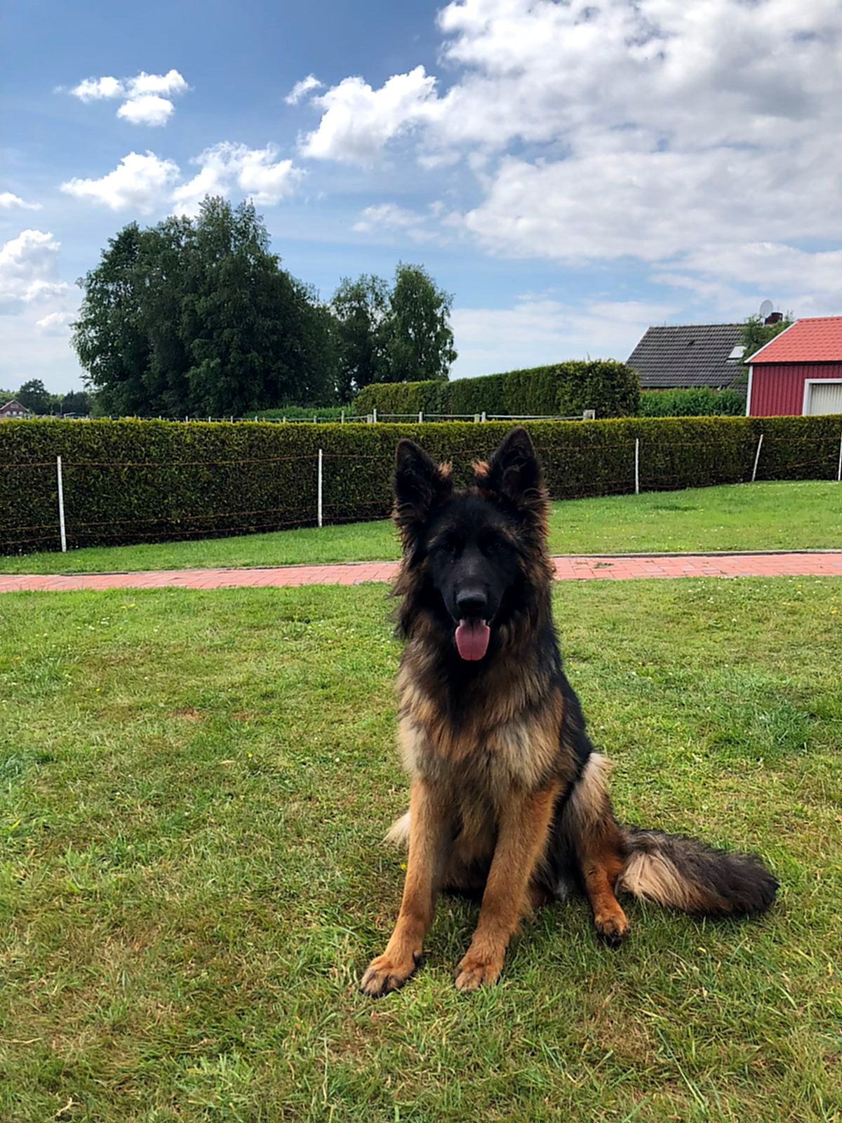 Ronja 