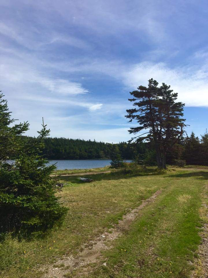 Photo Gallery Town of Come By Chance