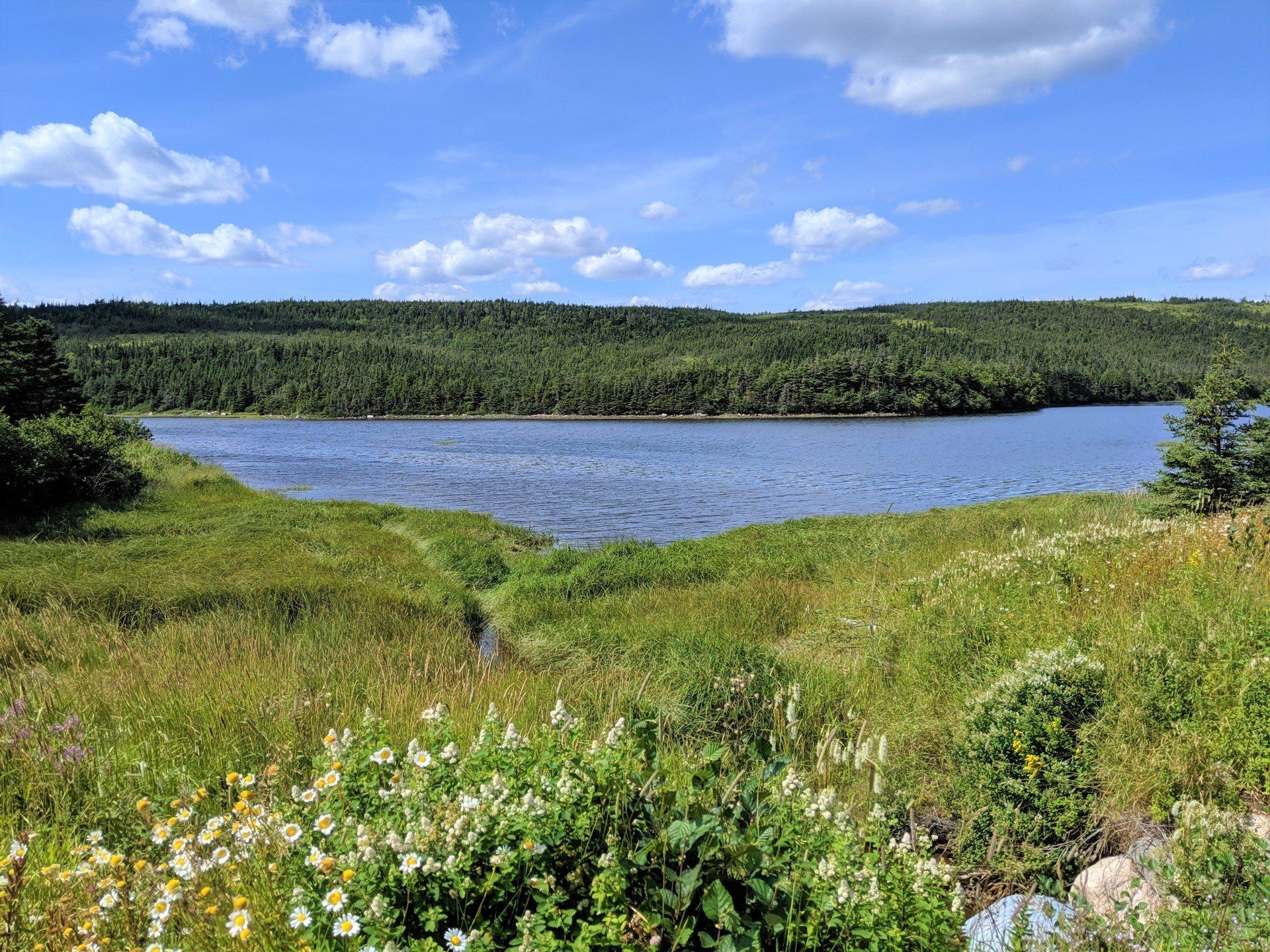 Photo Gallery Town of Come By Chance