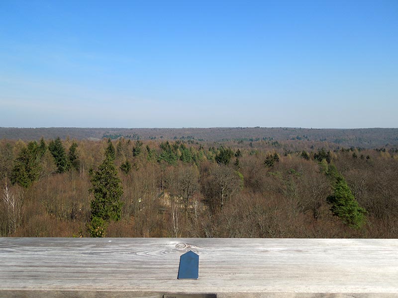 Allein unterwegs in Wiesbaden - Blick vom Kasteler Museumsufer auf die Theodor-Heuss-Brücke über den Rhein nach Mainz