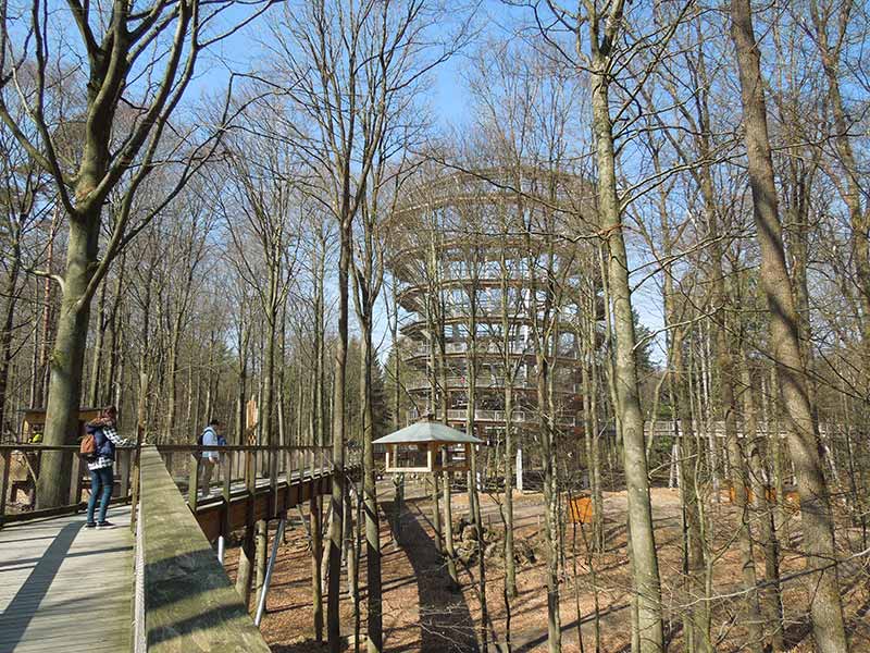 Allein unterwegs in Wiesbaden - Graffiti Kunst, Meeting Of Styles in Mainz-Kastel am Brückenkopf