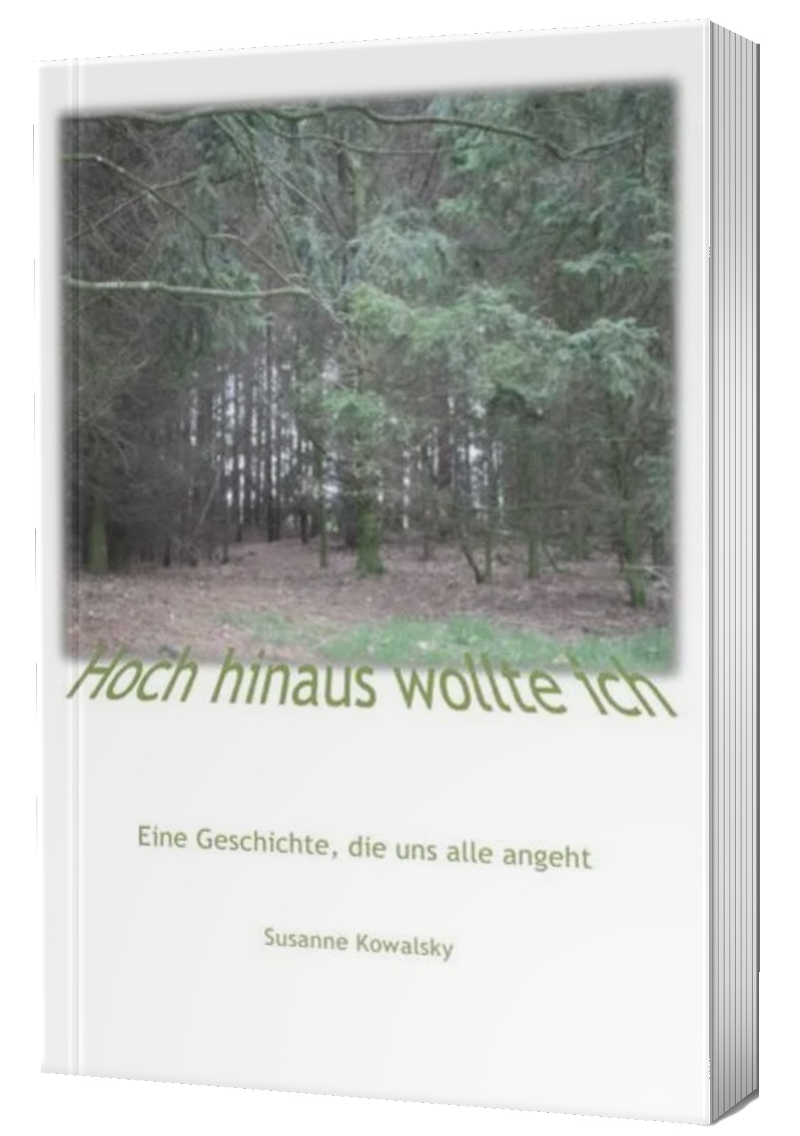 Ein Waldgebiet auf einem weißen Untergrund.