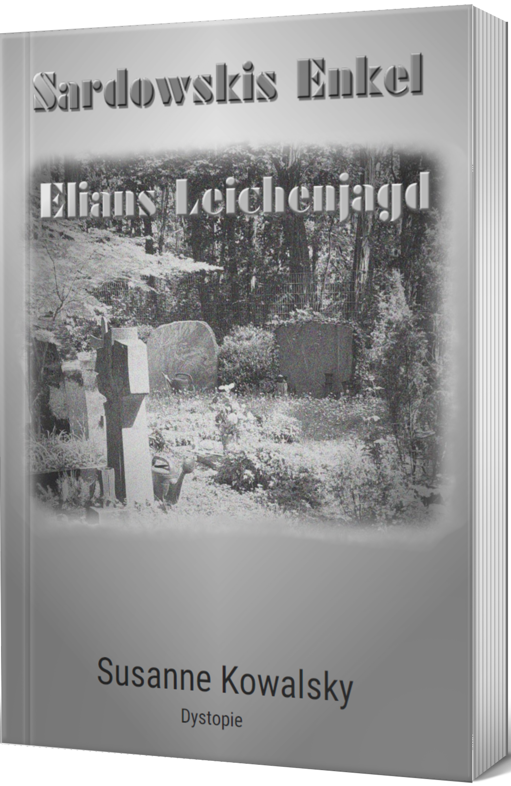 Graues Cover mit Titel und Friedhofsbild