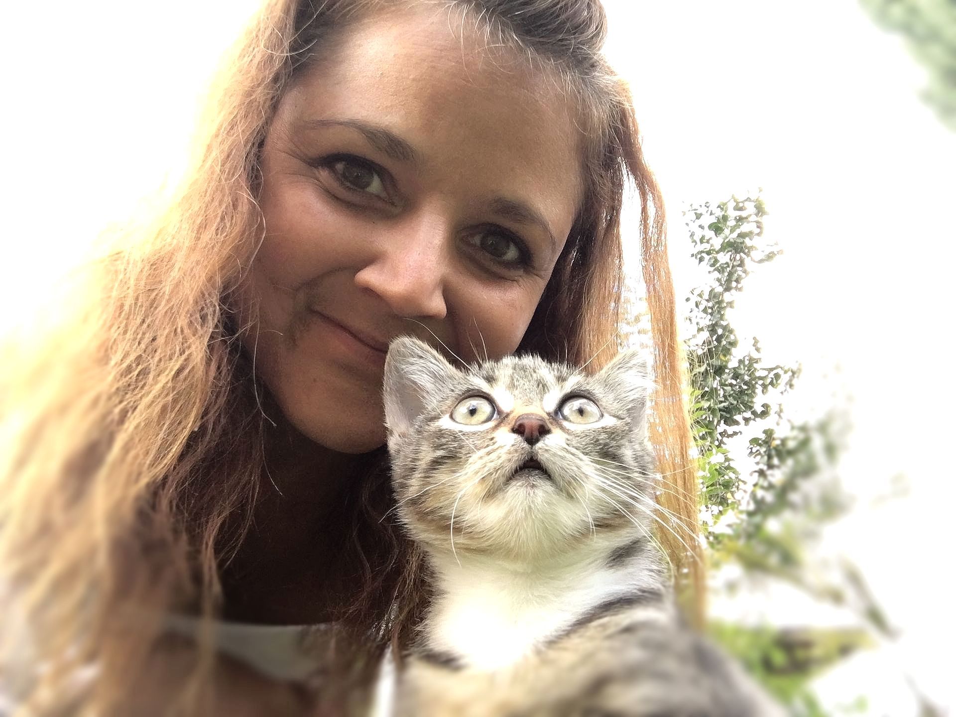 Tierphysiotherapeutin mit Hund