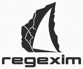 regexim logo png