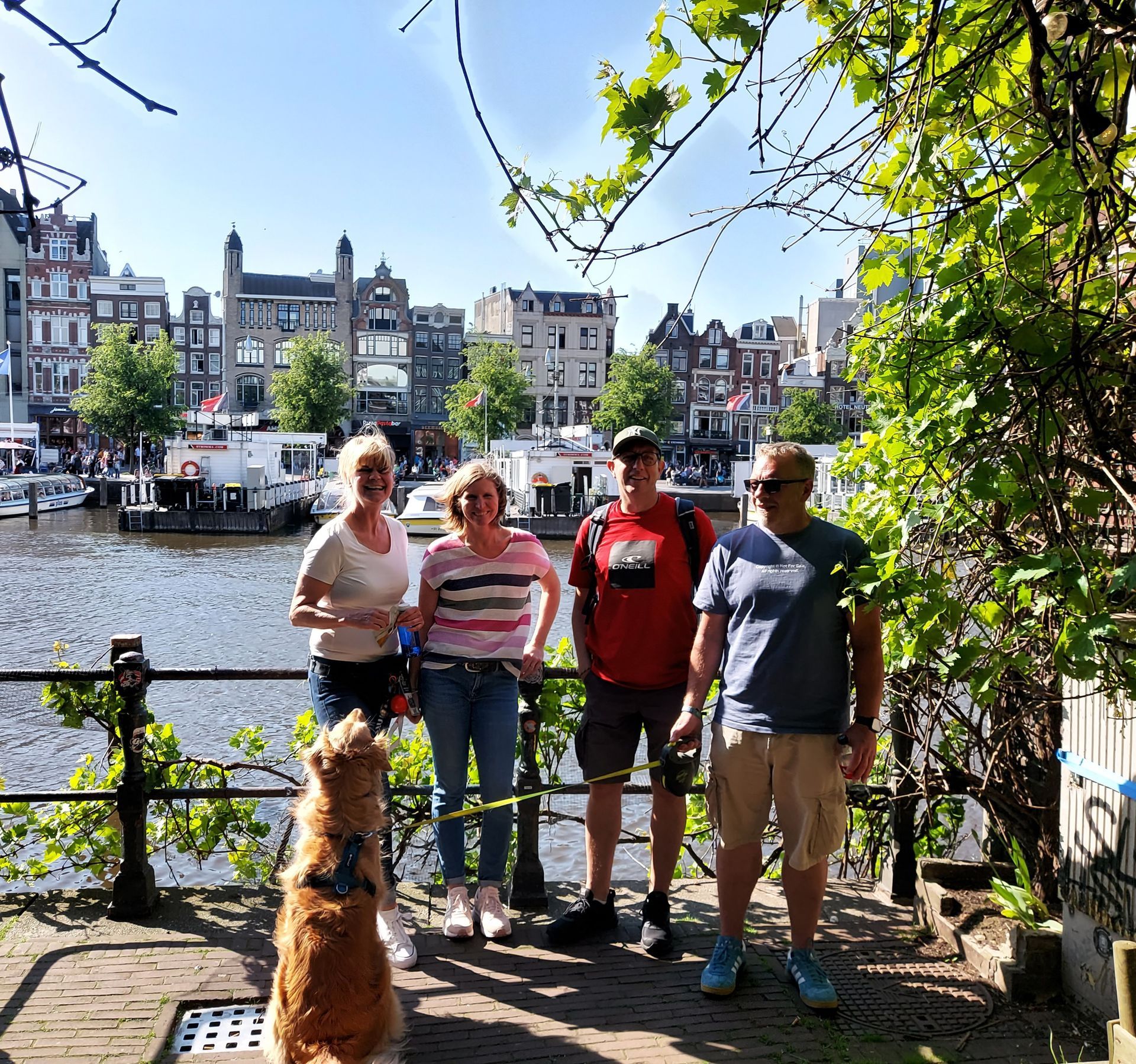 Herzblut Amsterdam Stadtführungen. Deutsch. Kleine Gruppe. Privatführung. Redkult. Rotlicht