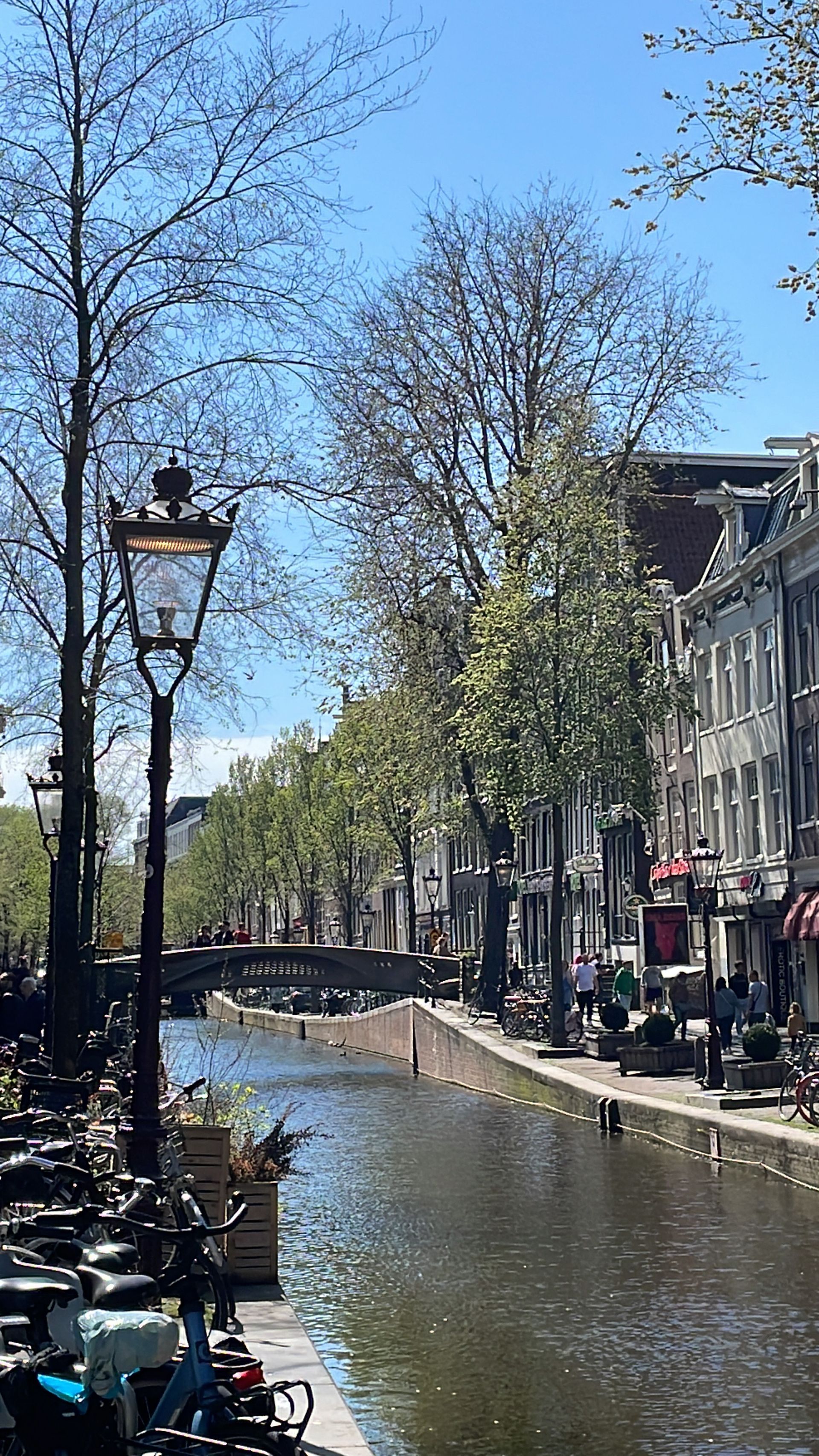 Herzblut Amsterdam Stadtführungen. Deutsch. Kleine Gruppe. Privatführung. Gracht.