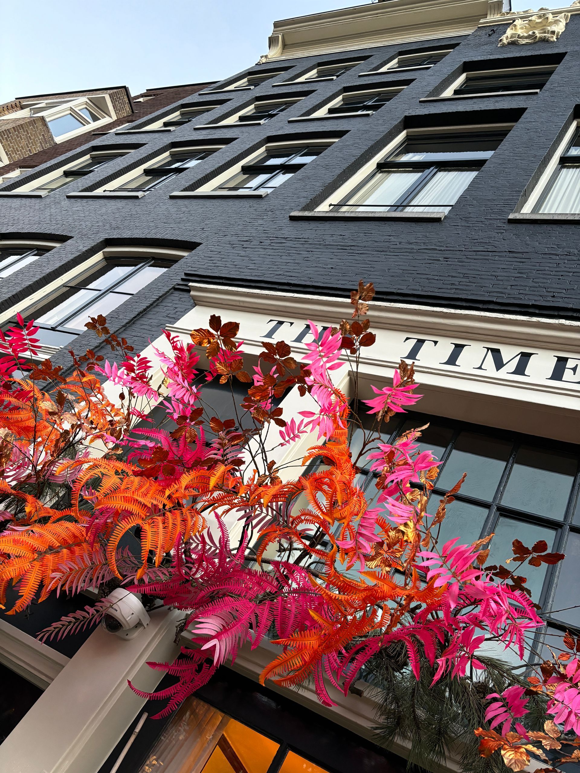 Herzblut Amsterdam Stadtführungen, auf deutsch, kleine Gruppen. Privatführungen. Fahrradtouren. Hotel