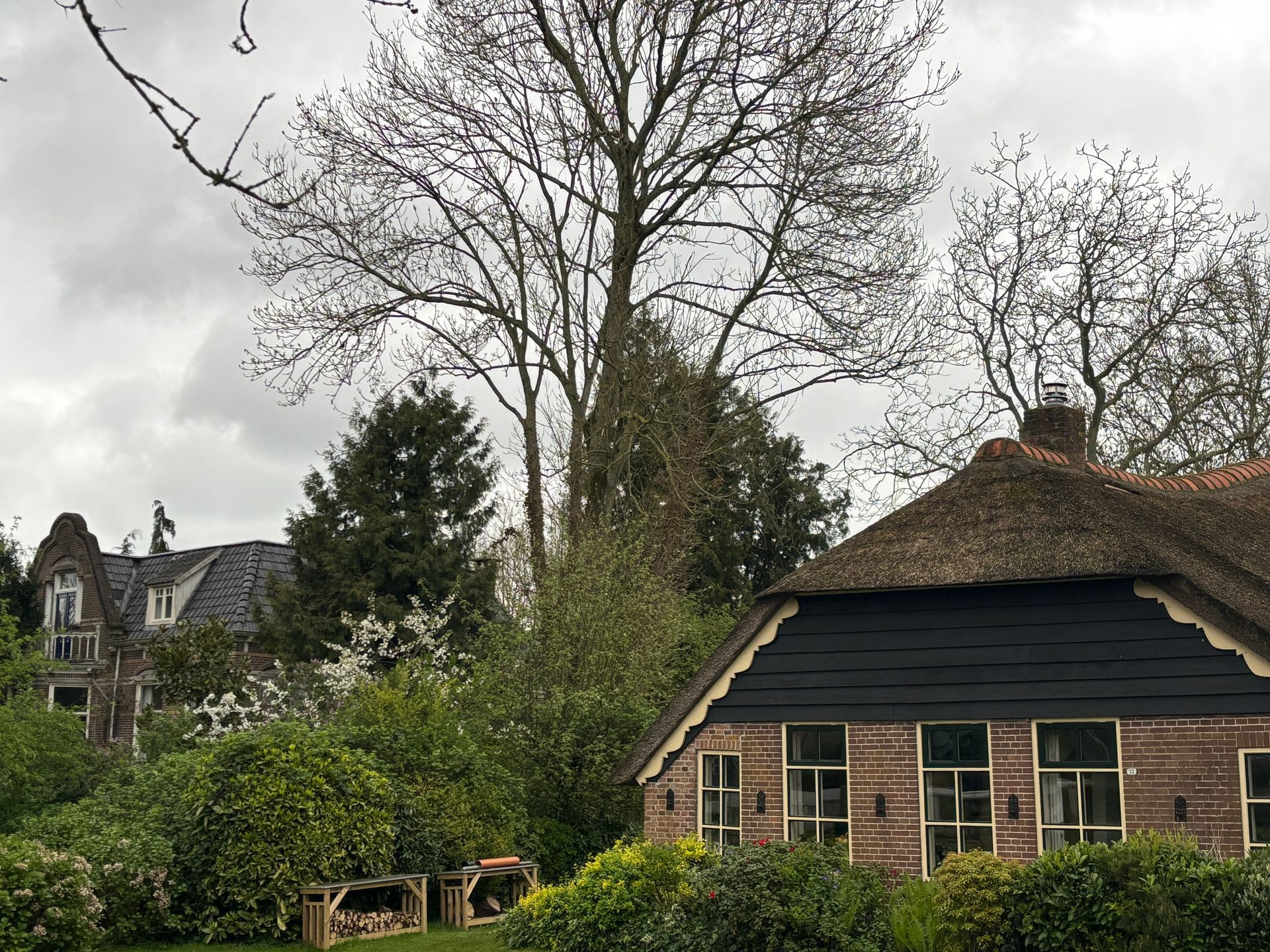 Herzblut Amsterdam Stadtführungen, auf deutsch, kleine Gruppen. Privatführungen. Fahrradtouren. Giethoorn.