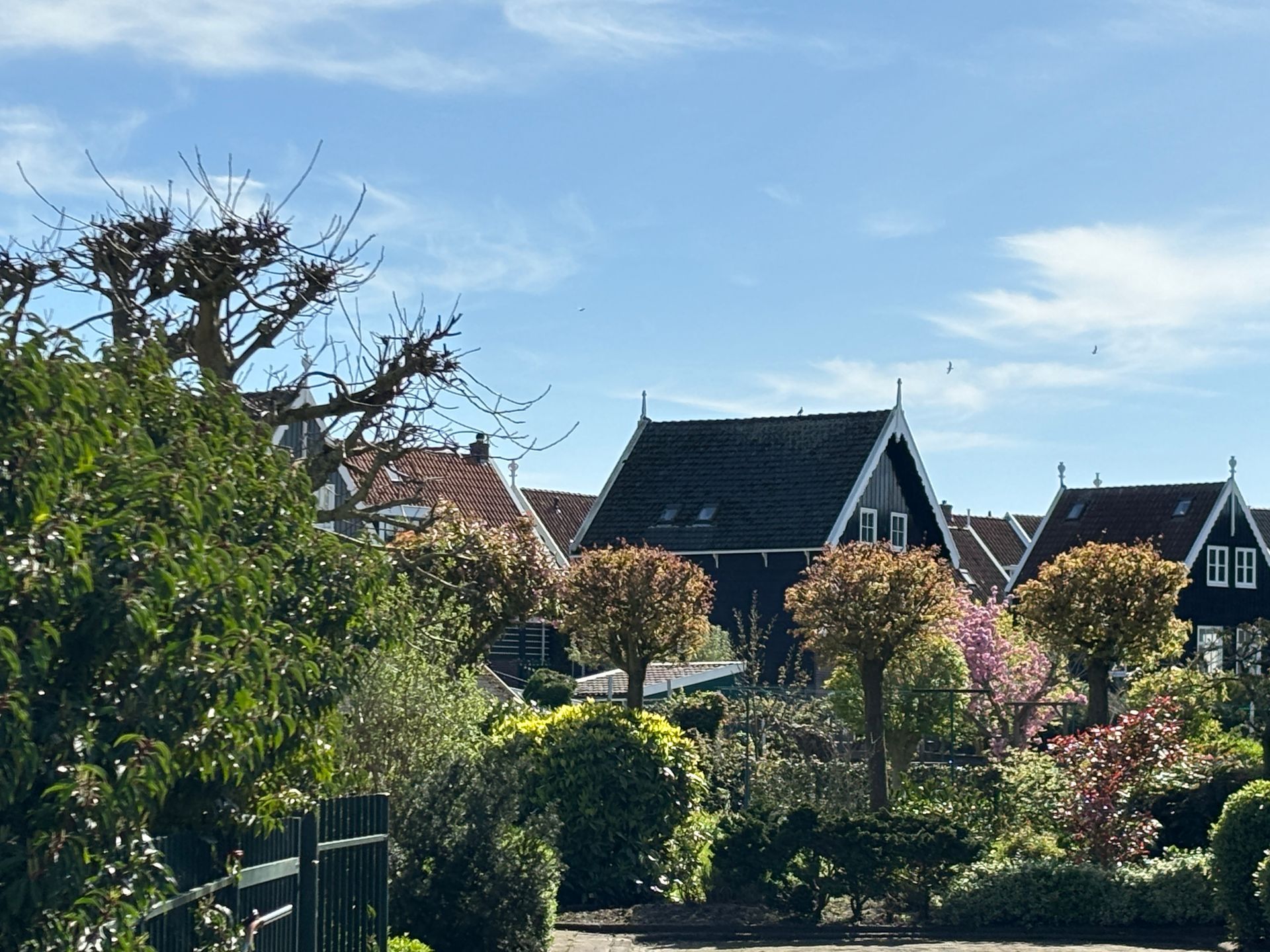 Herzblut Amsterdam Stadtführungen, auf deutsch, kleine Gruppen. Privatführungen. Fahrradtouren. Marken. Volendam