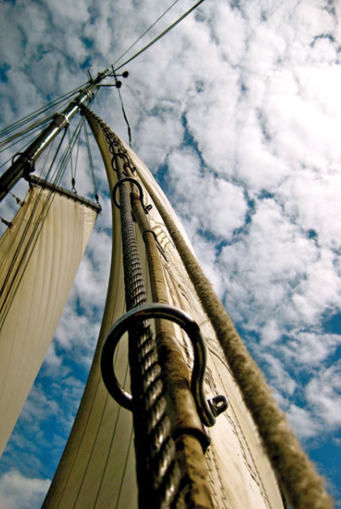 Herzblut Amsterdam Stadtführungen, auf deutsch, kleine Gruppen. Privatführungen. Fahrradtouren. Segeln