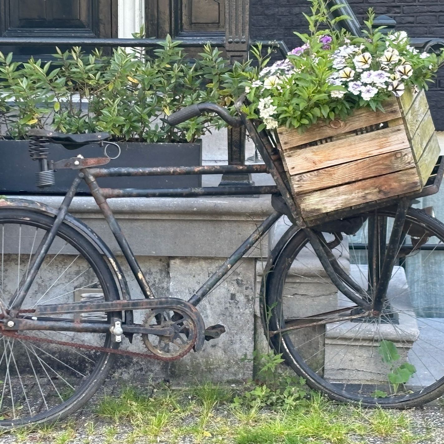 Herzblut Amsterdam Stadtführungen, auf deutsch, kleine Gruppen. Privatführungen. Fahrradtouren. Grachtengürtel