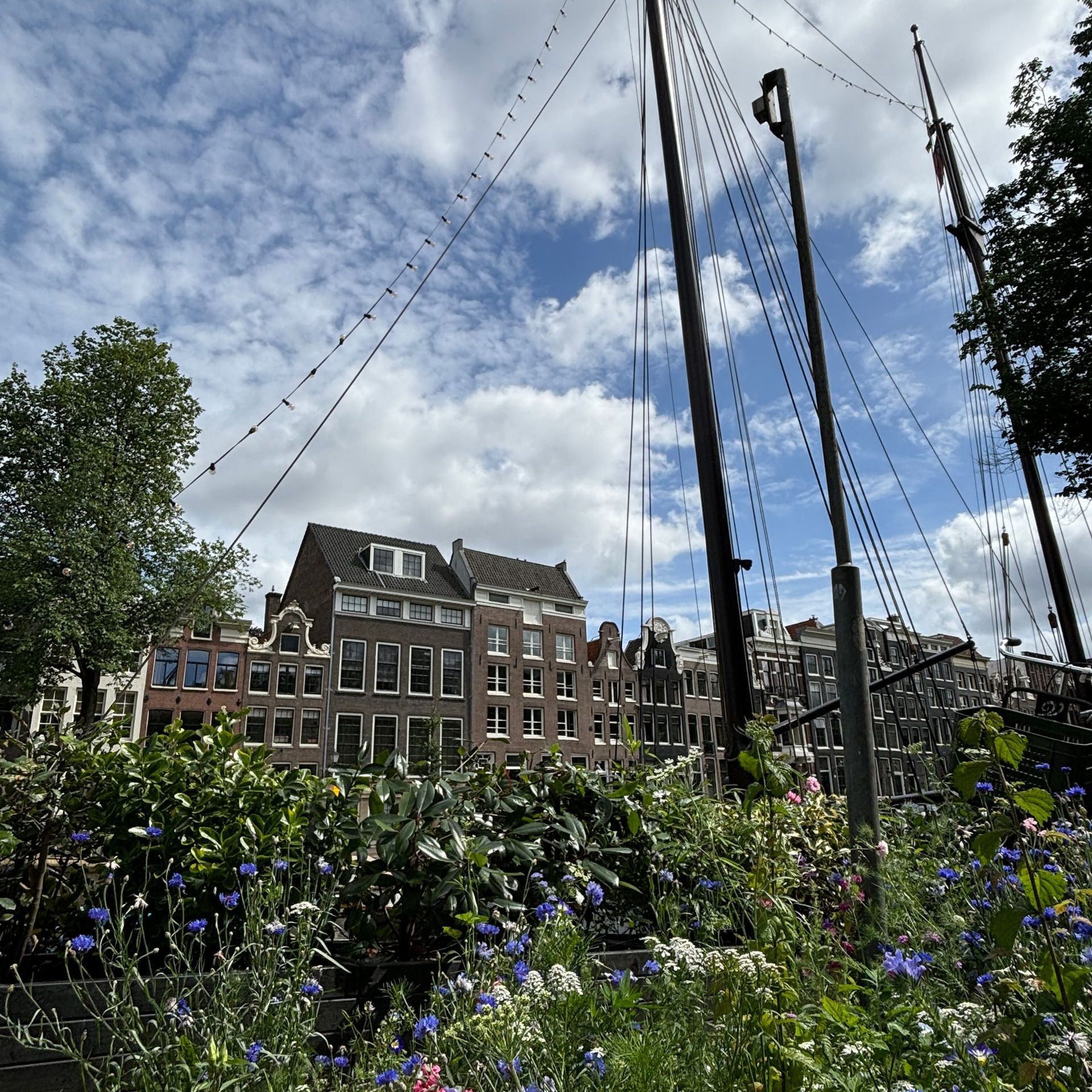 Herzblut Amsterdam Stadtführungen. Deutsch. Kleine Gruppe. Privatführung.Hausboote