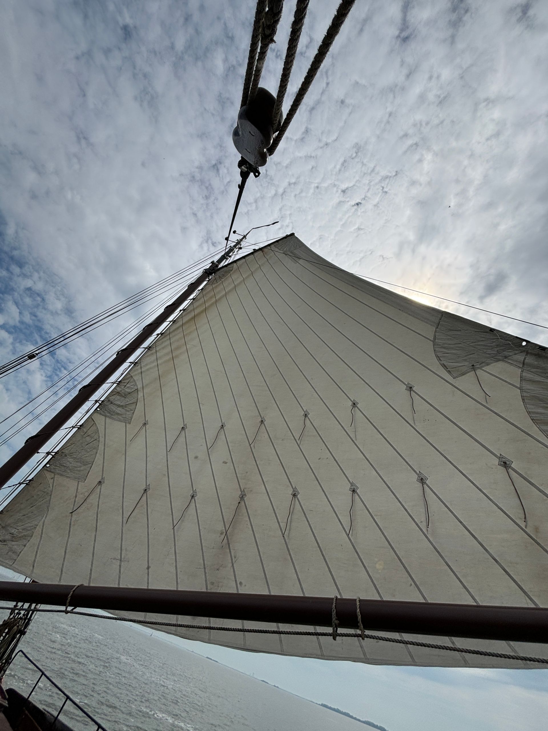 Herzblut Amsterdam Stadtführungen, auf deutsch, kleine Gruppen. Privatführungen. Fahrradtouren.