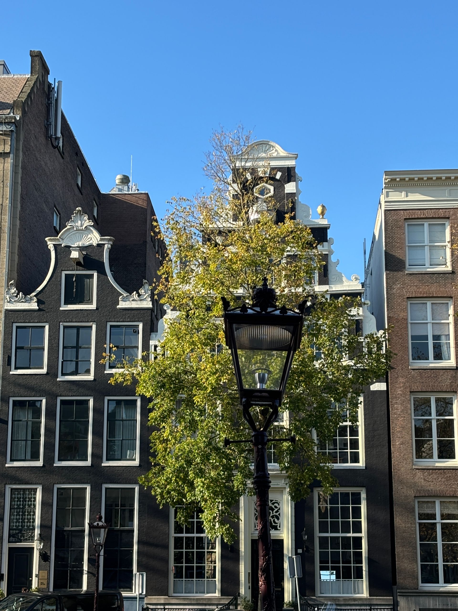 Herzblut Amsterdam Stadtführungen, auf deutsch, kleine Gruppen. Privatführungen. Fahrradtouren. Jordaan