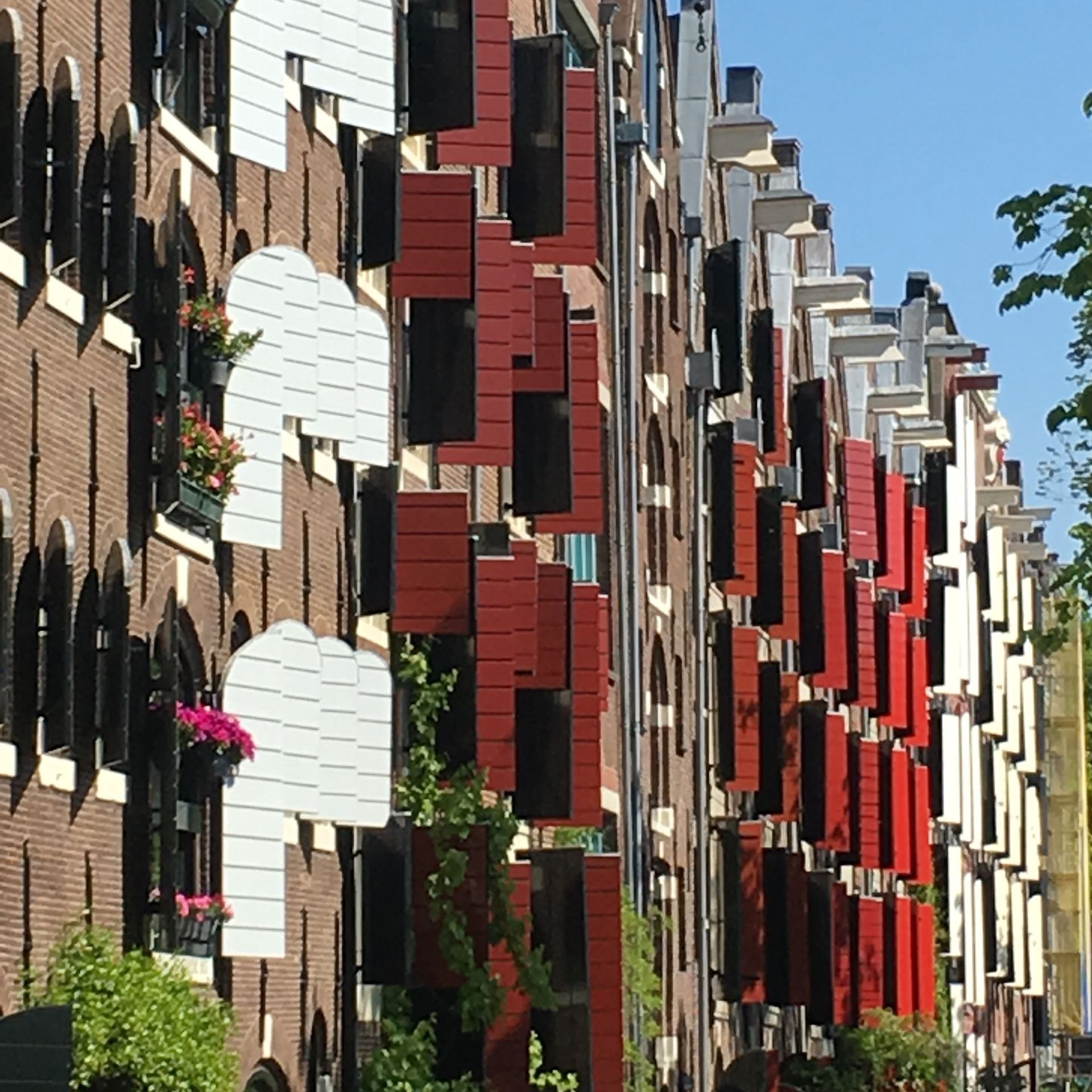 Herzblut Amsterdam Stadtführungen, auf deutsch, kleine Gruppen. Privatführungen. Fahrradtouren. Jordaan.