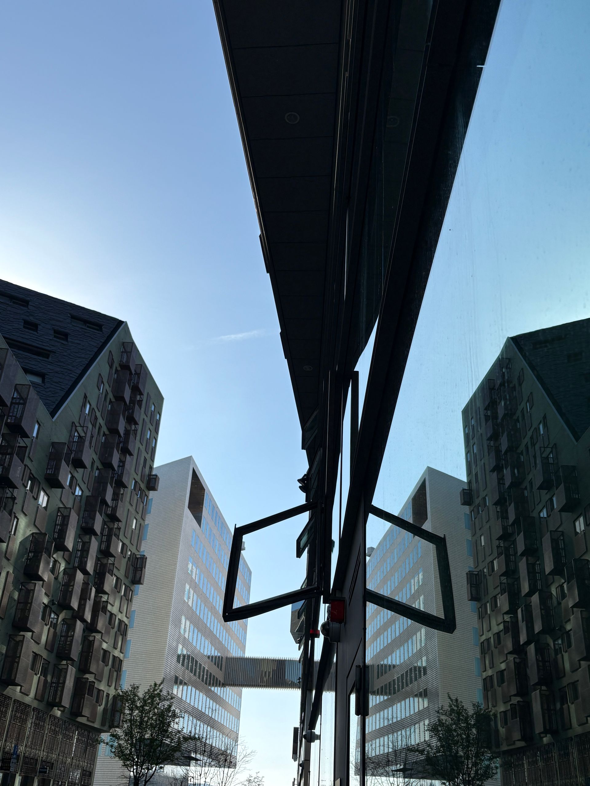 Herzblut individuelle Amsterdam Stadtführungen auf deutsch, in kleinen Gruppen. Privatführungen. Fahrradtouren.