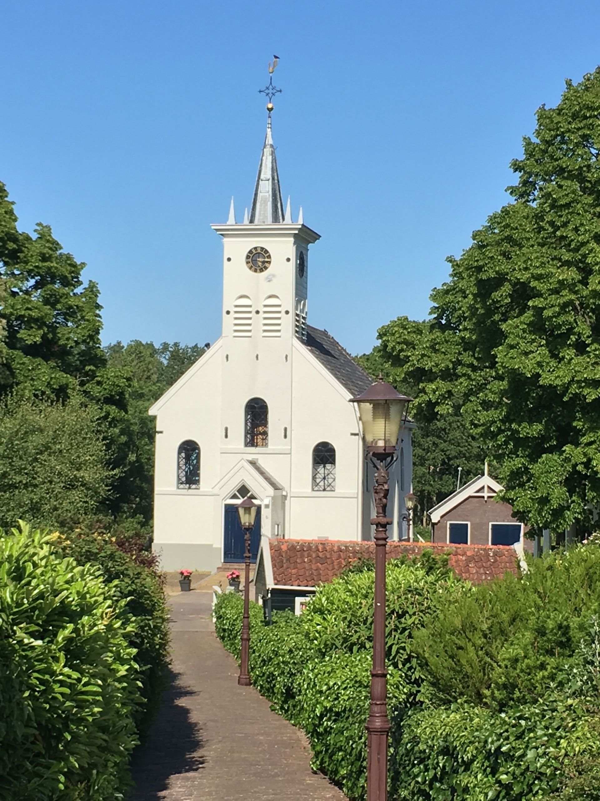 Herzblut Amsterdam Stadtführungen, auf deutsch, kleine Gruppen. Privatführungen. Fahrradtouren. Noord. Park.