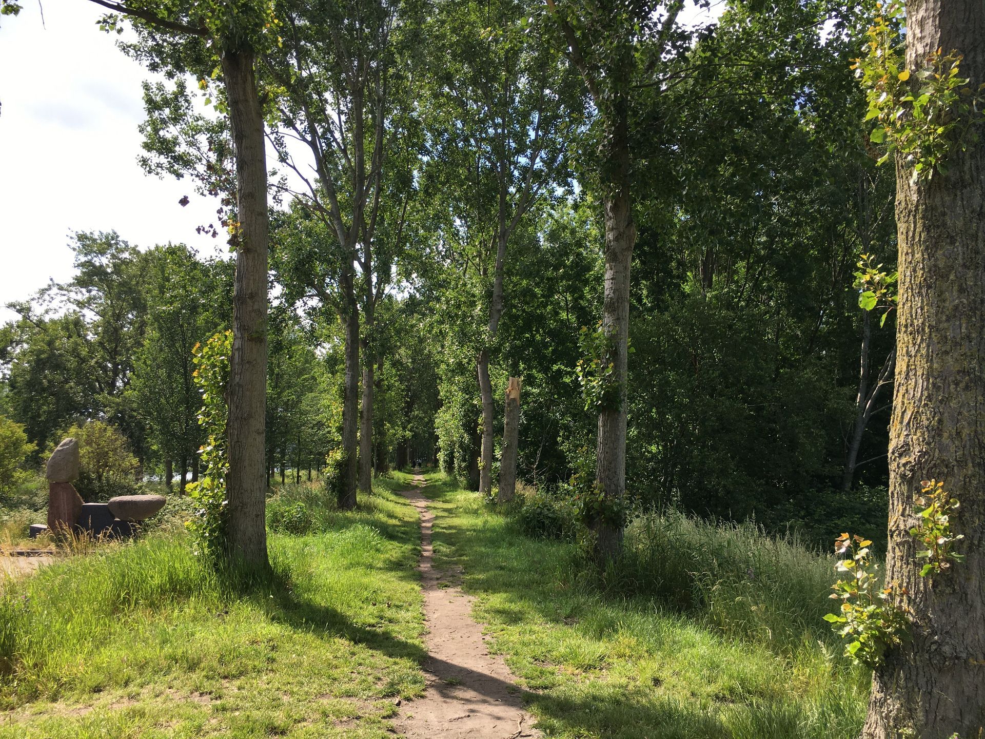 Herzblut Amsterdam Stadtführungen, auf deutsch, kleine Gruppen. Privatführungen. Fahrradtouren. NDSM Werft