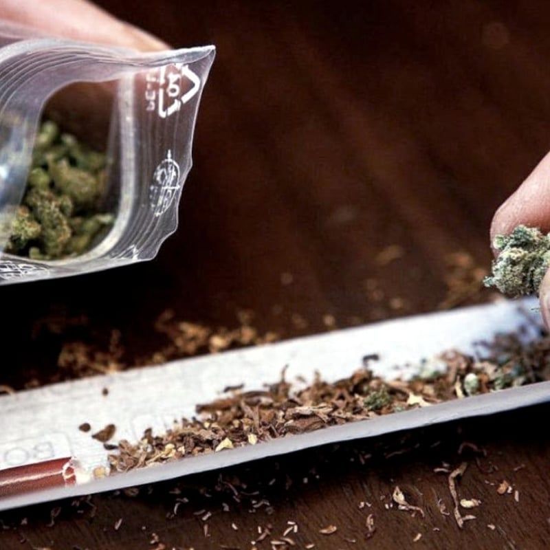 Herzblut Amsterdam Stadtführungen, auf deutsch, kleine Gruppen. Privatführungen. Fahrradtouren. Marihuana.