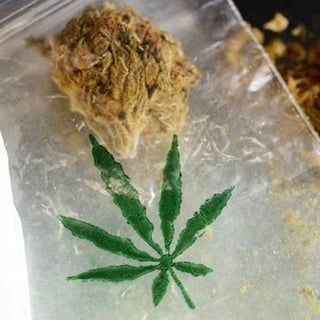 Herzblut Amsterdam Stadtführungen, auf deutsch, kleine Gruppen. Privatführungen. Fahrradtouren. Coffeeshops